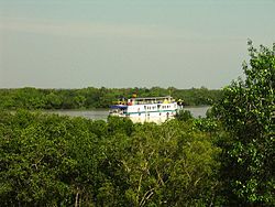 River in Sundarbans