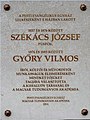 József Székács & Vilmos Győry