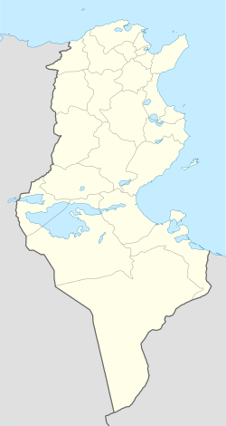 Kartagina se nahaja v Tunizija