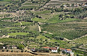 Vale do Rio Douro - Portugal (25252480677).jpg