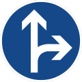 Zeichen 214-20 vorgeschriebene Fahrtrichtung – geradeaus und rechts (künftig: 209-22)