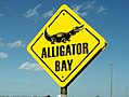 Image illustrative de l’article Alligator Bay