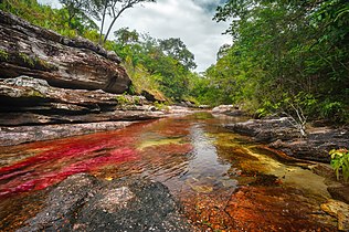 Caño Cristales River