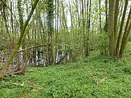 Vroegere slotgracht van de Burcht van Rummen in het Warandebos