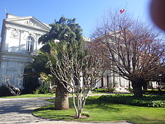 Jardín de catedral.JPG