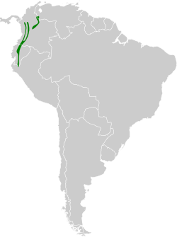 Distribución geográfica del hemispingo capirotado.