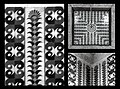 Perspolisic Abstract Patterns of Persian column - Ferdowsi tomb interior