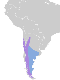 Distribución geográfica del yal cabecigrís.