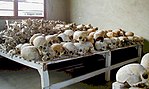 Thumbnail for File:Rwandan Genocide Murambi skulls.jpg