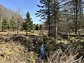 Mit viel Sonne im Sandsjöbacka Naturreservat