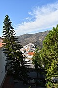Sayalonga, Málaga (2021-10-21) 38.jpg