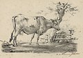 Staande koe door Petrus Marius Brouwer (1819-1886)