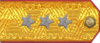 погоны 1943