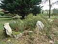 Le dolmen de Kergallan.