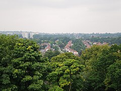 Edgbaston001.JPG