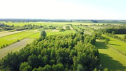 Het in 2006 aangeplante Pebe's Bos met op de achtergrond het pettengebied en Friesland