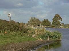 Trent milepost - geograph.org.uk - 1551595.jpg