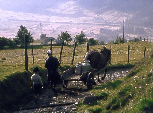 Farming at Bramberg in 1965