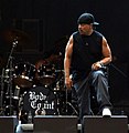 Ice T na koncercie w Pradze
