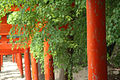 Cổng torii ở Izushi