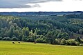 Le couvert forestier près de Saint-Setiers.