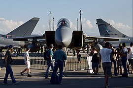 USAFE LN 84-0044 McDonnell Douglas F-15D Strike Eagle (Ank Kumar, Infosys Limited) 03.jpg