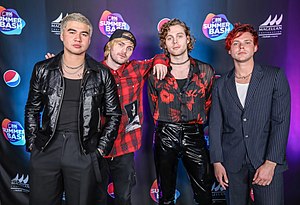 5 Seconds of Summer at B96 Pepsi SummerBash 2019. From left to right: Calum Hood, Michael Clifford, Luke Hemmings, Ashton Irwin.