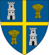 Grb županije Olt