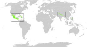 Mapa indicando las tres principales áreas de bosque subtropical de coníferas, en América, el Himalaya y en Luzón.