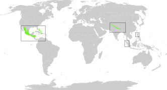 Principales zones : Amérique centrale, Grandes Antilles, piémont himalayen, Nord des Philippines, Sumatra.