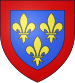 Coat of airms o Anjou