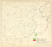 CL-36 Pinus taiwanensis, luchuensis & hwangshanensis range map.png