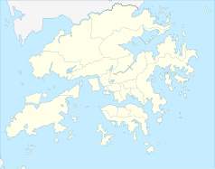 Mapa konturowa Hongkongu, w centrum znajduje się punkt z opisem „Kowloon”