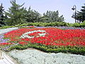 Image 22Flag of Turkey, from flowers