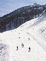 Skiers in Krasnaya Polyana