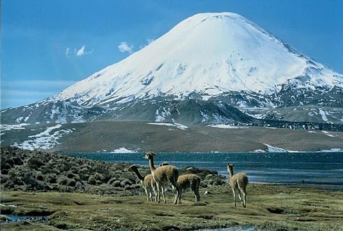 lac Chungará avec le volcan Parinacota