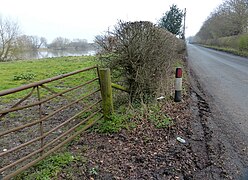 Manor Lane next to the River Trent - geograph.org.uk - 4860750.jpg