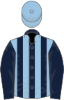 Dark blue and light blue stripes, dark blue sleeves, light blue cap