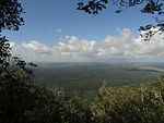 View of vast forested landscape