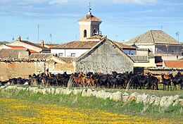 Santa Ana de Pusa – Veduta