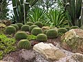 Sun Garden (antes Sun Rockery)