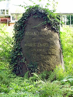 Надгробок на могилі Енглера у Ботанічному саду в Берліні