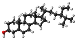 Ball-and-stick model of 7-dehydroepisterol