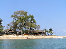 Some small houses and trees along a beach