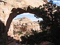 El Capitol Reef National Park inte el Utah.