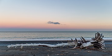 Driftwood on the beach north of Kaikoura, Canterbury, New Zealand 02.jpg