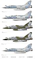 Mirage 2000 C/B/D/N/5 utilisés par l'Armée de l'Air