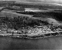 Broken, twisted trees, scattered debris, and wrecked buildings