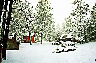 Bosque boreal Sierra de Juárez, Baja California