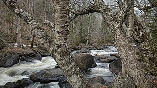 Rivière aux Mulets, Ste-Adèle.jpg